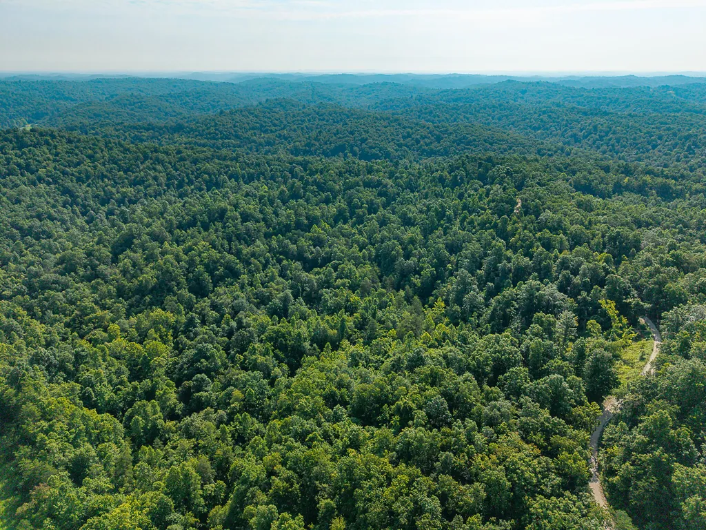 700 Clay Camp Road Hitchins KY 41146