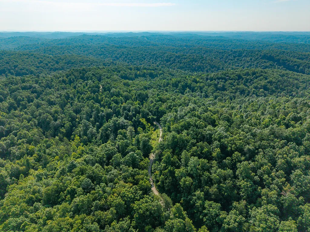 700 Clay Camp Road Hitchins KY 41146