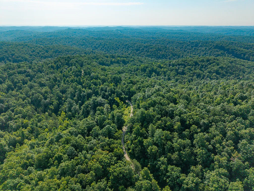 700 Clay Camp Road Hitchins KY 41146