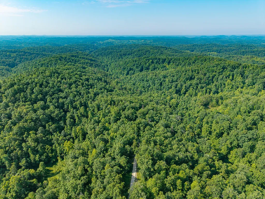 700 Clay Camp Road Hitchins KY 41146