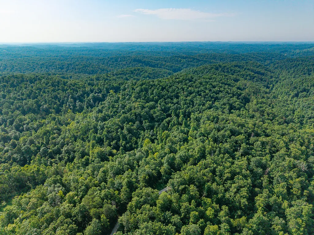 700 Clay Camp Road Hitchins KY 41146