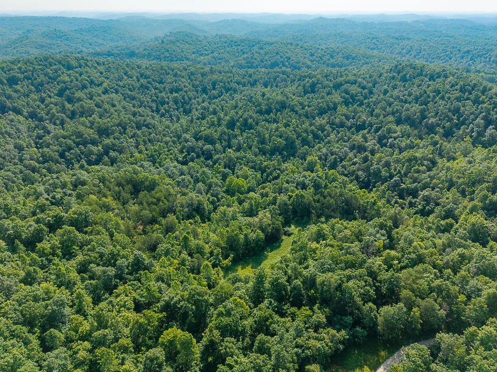 700 Clay Camp Road Hitchins KY 41146