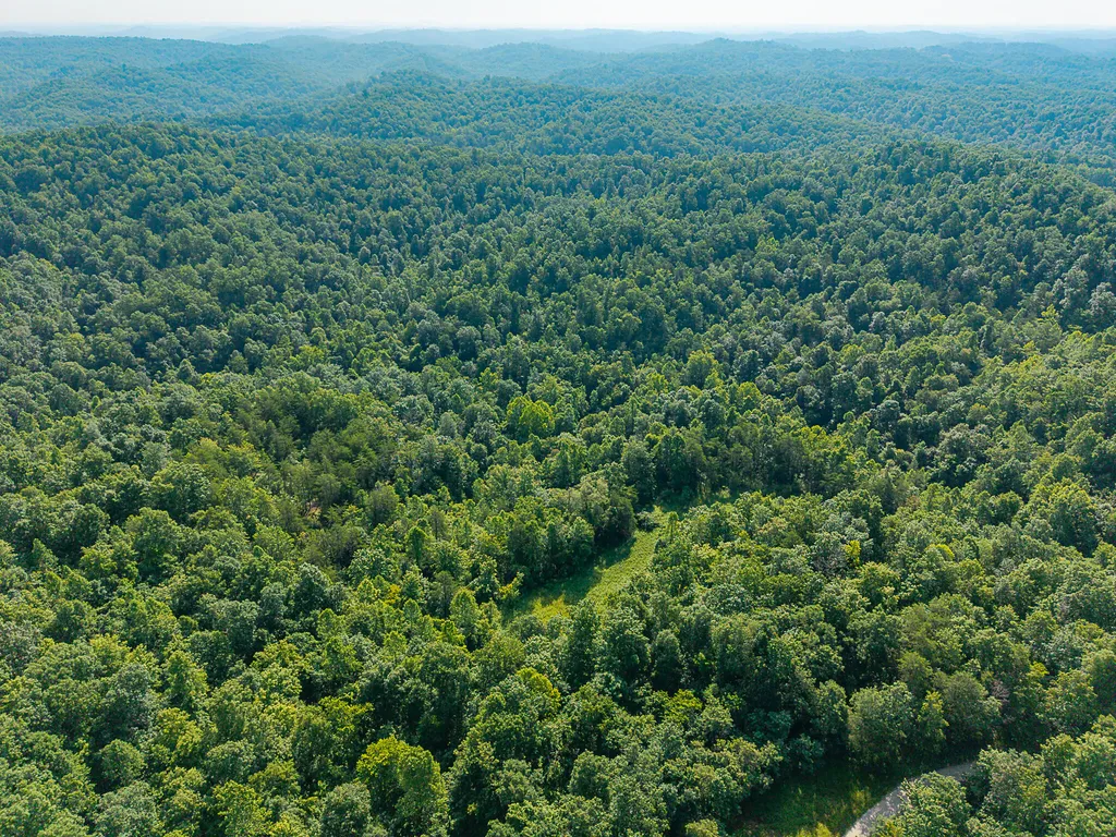 700 Clay Camp Road Hitchins KY 41146