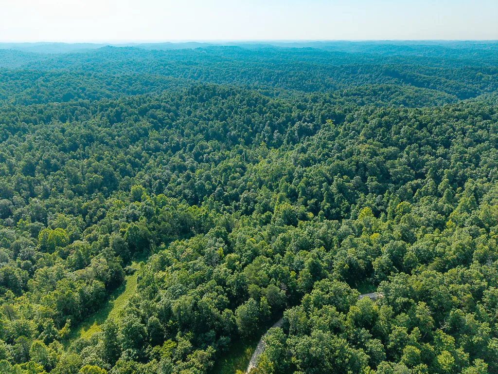 700 Clay Camp Road Hitchins KY 41146