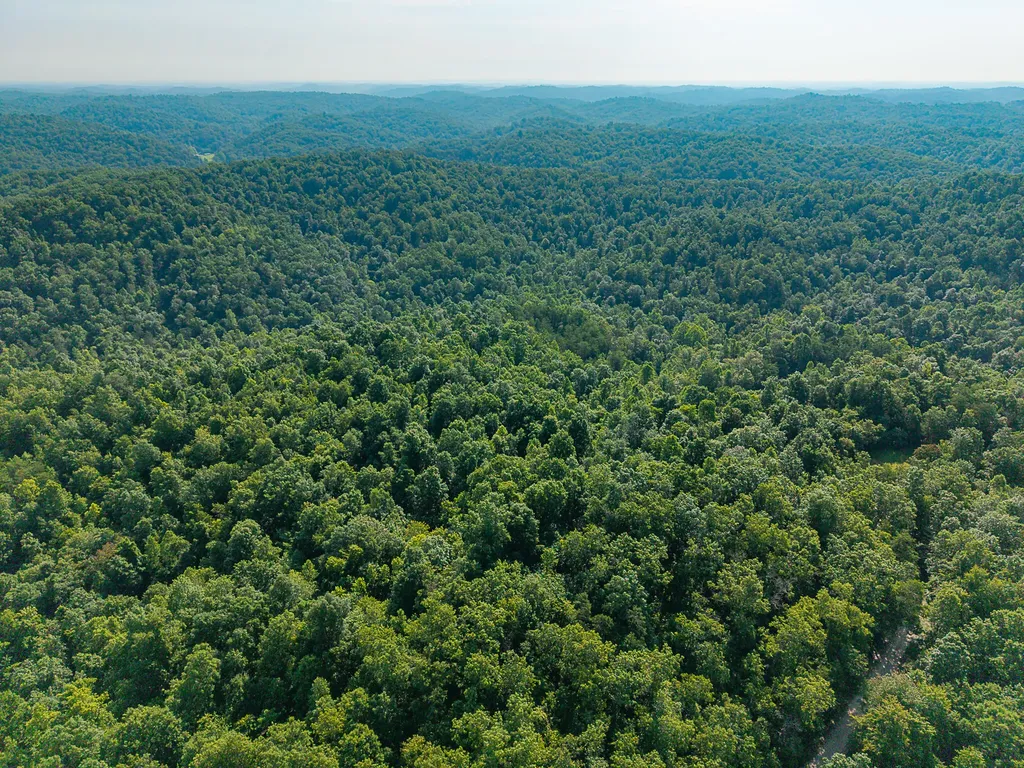 700 Clay Camp Road Hitchins KY 41146