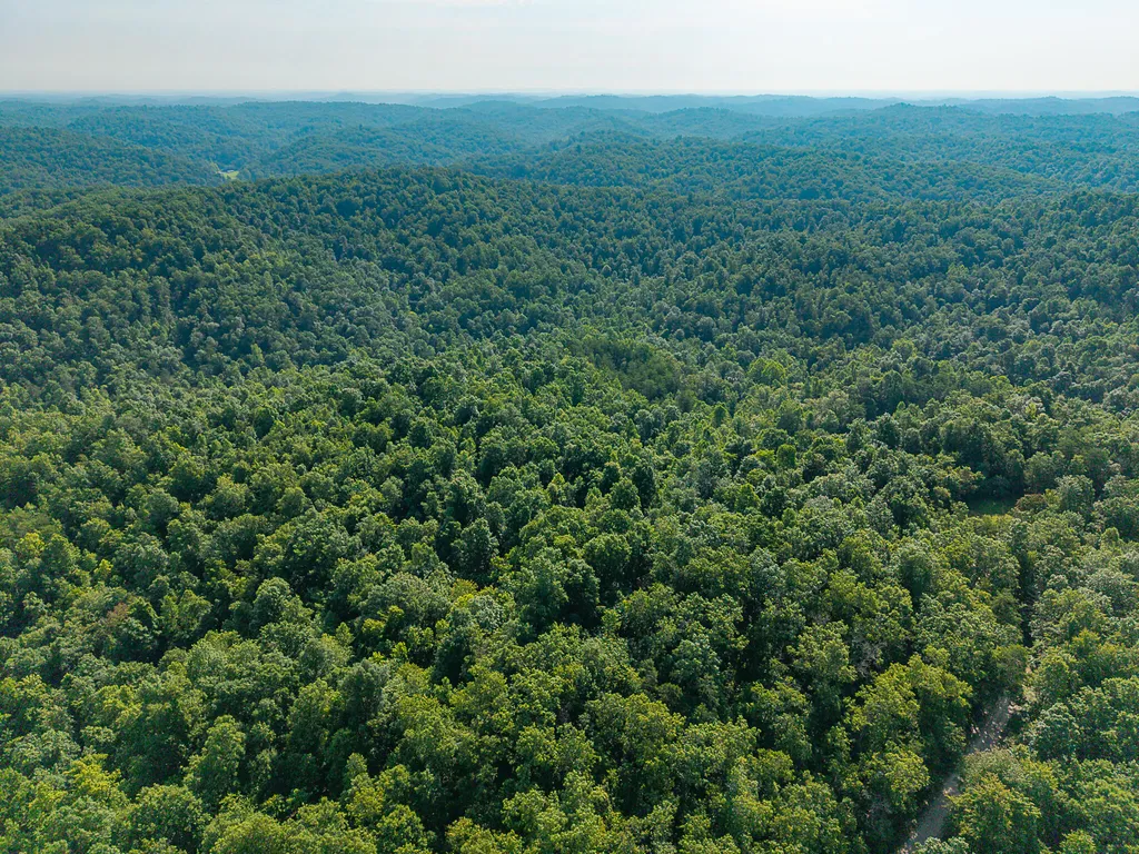 700 Clay Camp Road Hitchins KY 41146