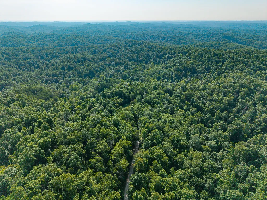700 Clay Camp Road Hitchins KY 41146