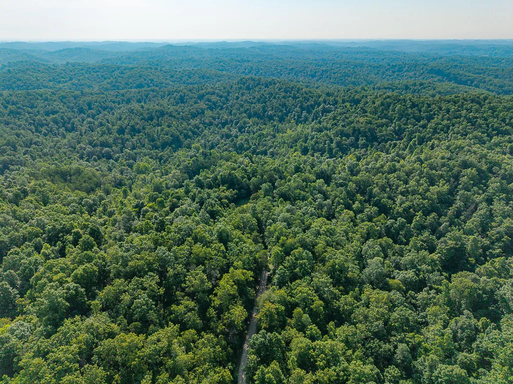 700 Clay Camp Road Hitchins KY 41146