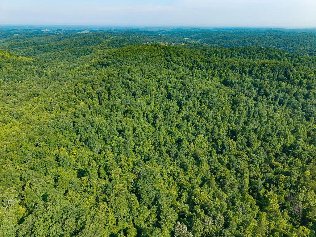 700 Clay Camp Road Hitchins KY 41146