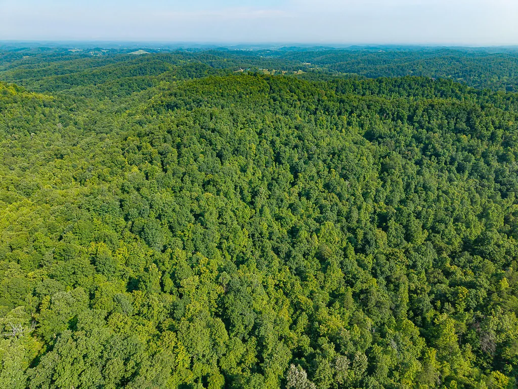 700 Clay Camp Road Hitchins KY 41146