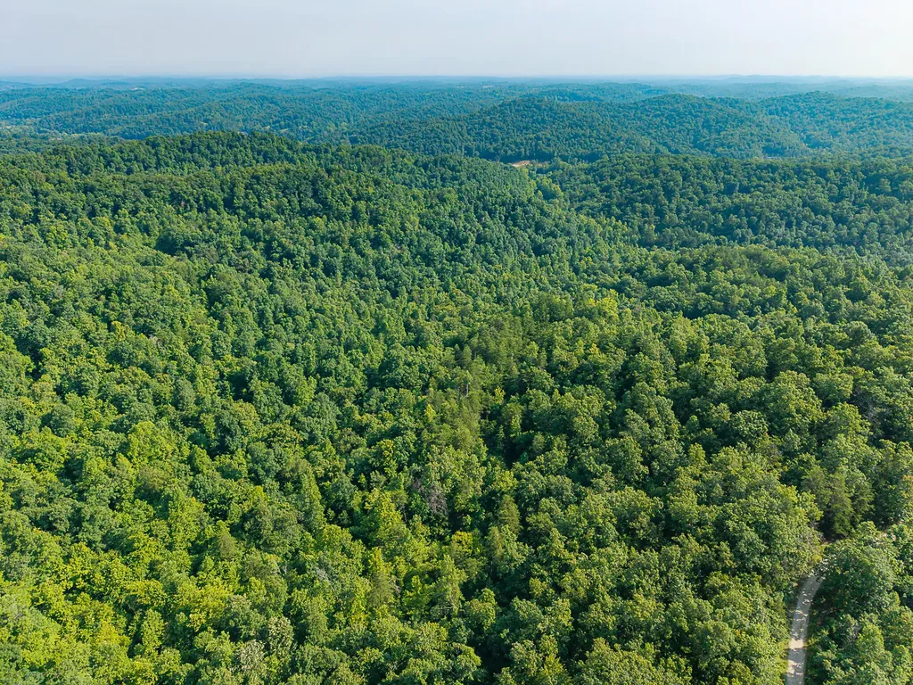 700 Clay Camp Road Hitchins KY 41146