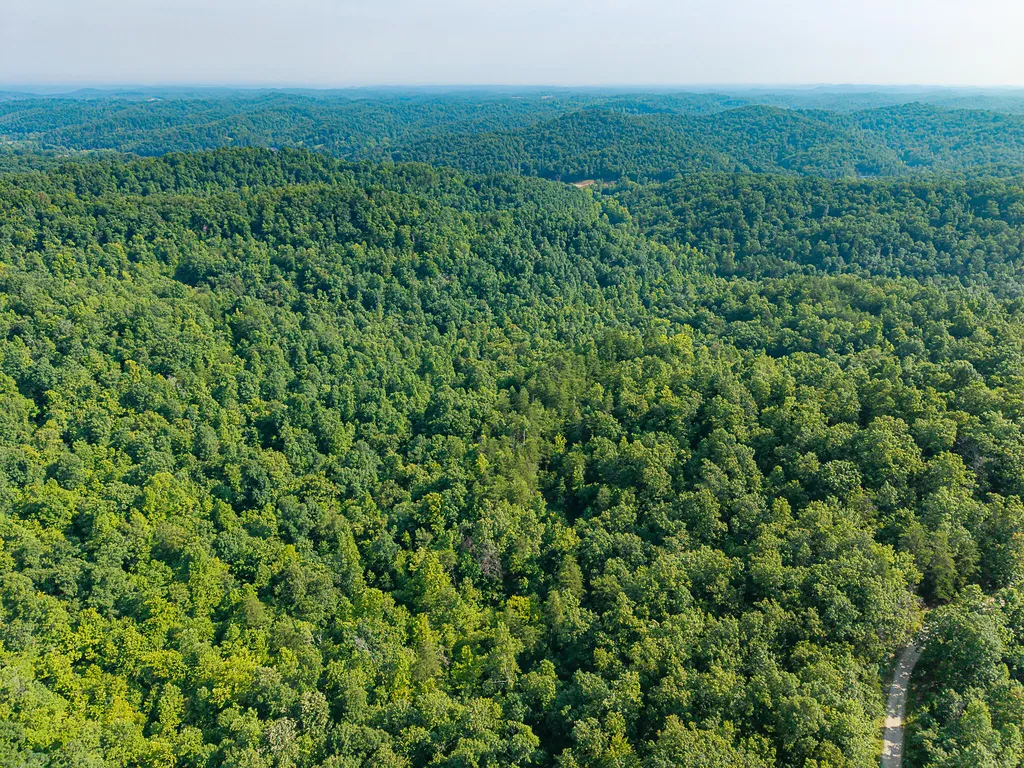 700 Clay Camp Road Hitchins KY 41146