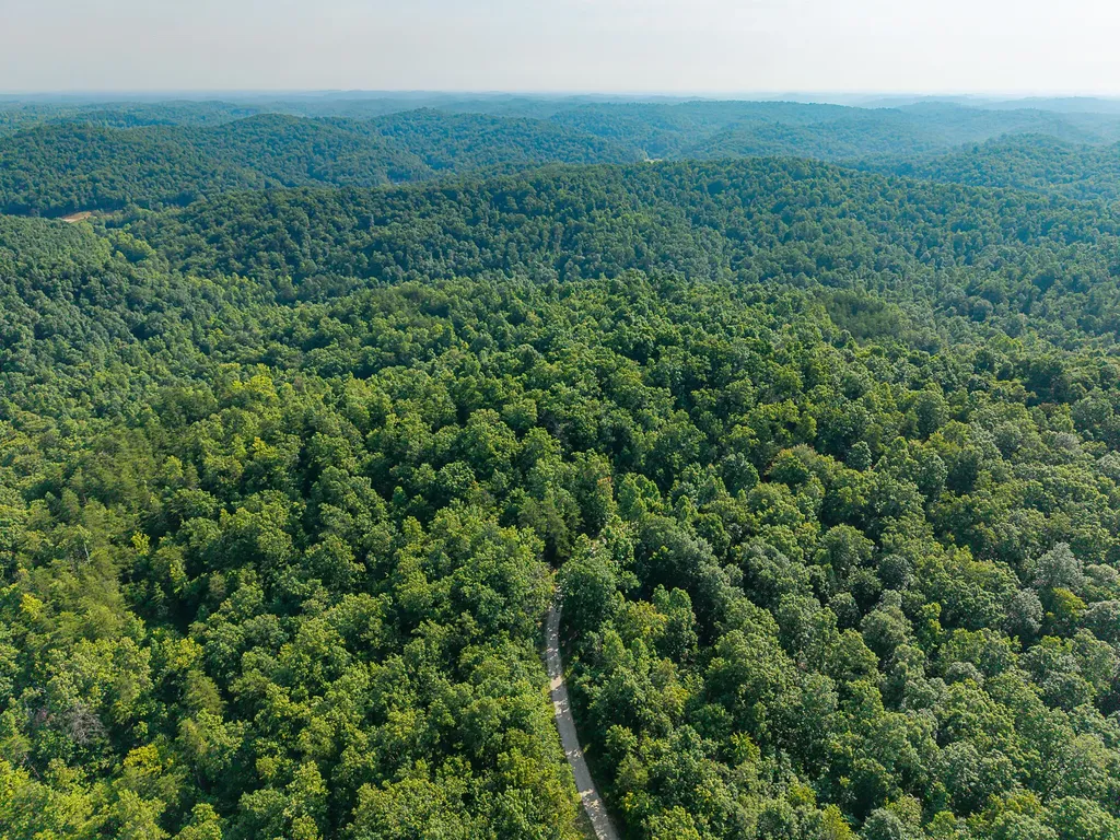 700 Clay Camp Road Hitchins KY 41146