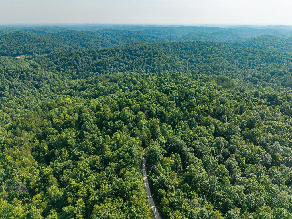 700 Clay Camp Road Hitchins KY 41146