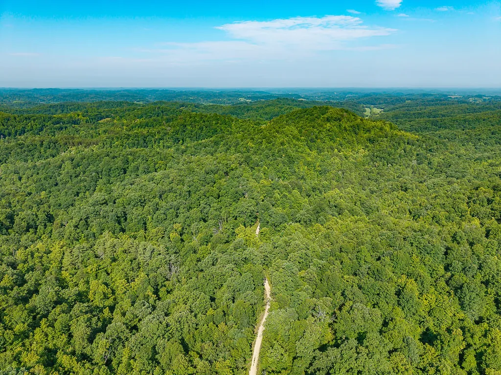 700 Clay Camp Road Hitchins KY 41146