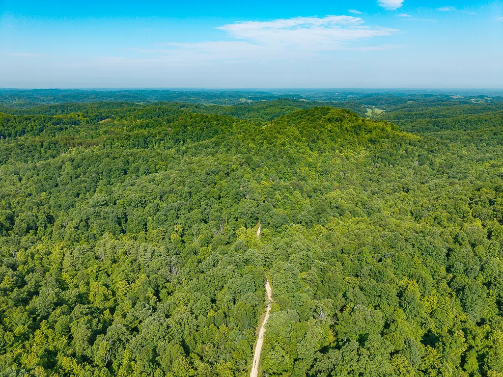 700 Clay Camp Road Hitchins KY 41146