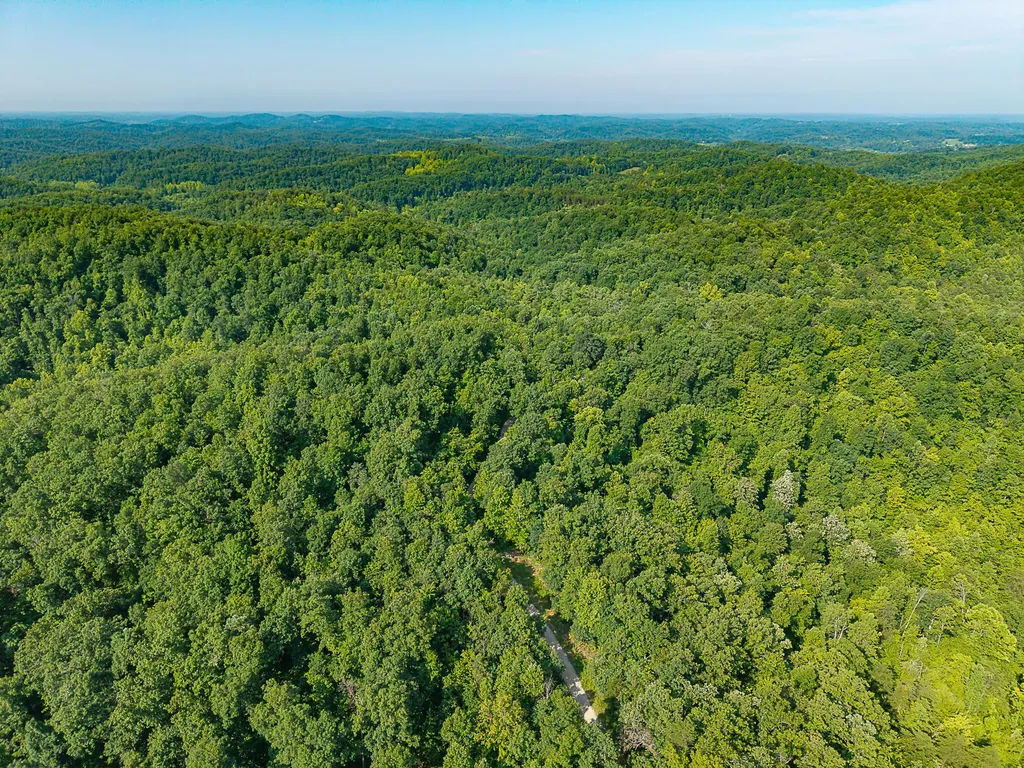 700 Clay Camp Road Hitchins KY 41146