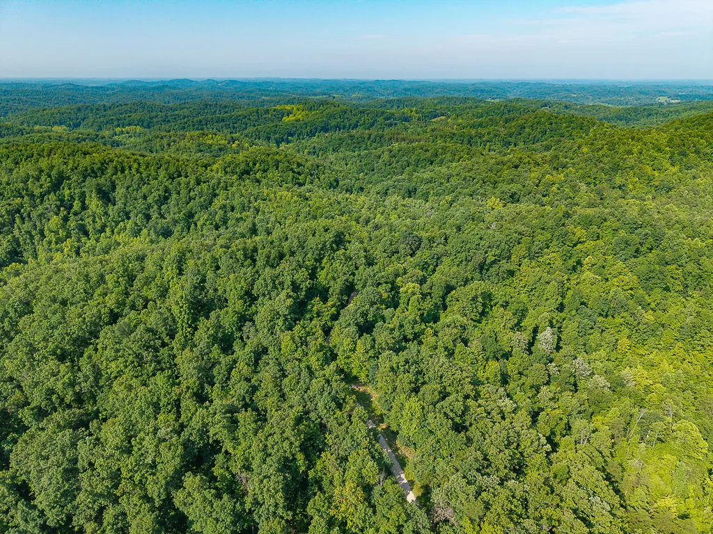 700 Clay Camp Road Hitchins KY 41146