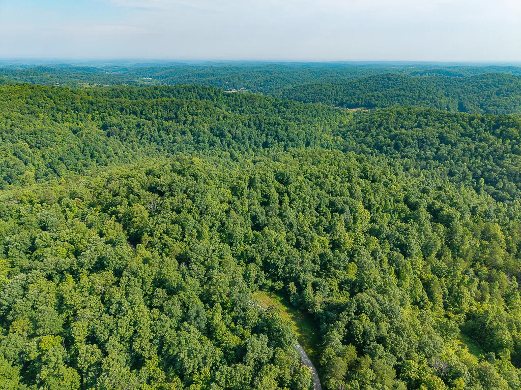 700 Clay Camp Road Hitchins KY 41146