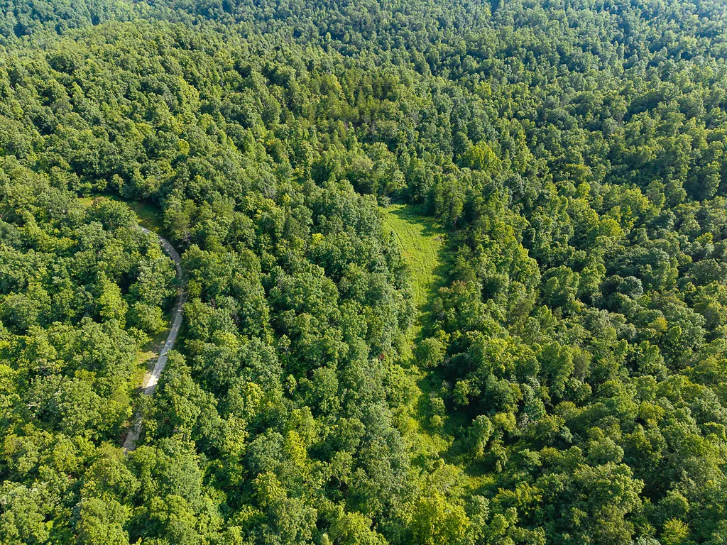 700 Clay Camp Road Hitchins KY 41146