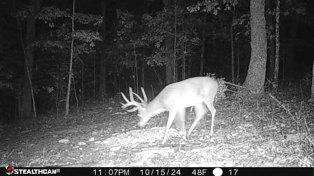 700 Clay Camp Road Hitchins KY 41146
