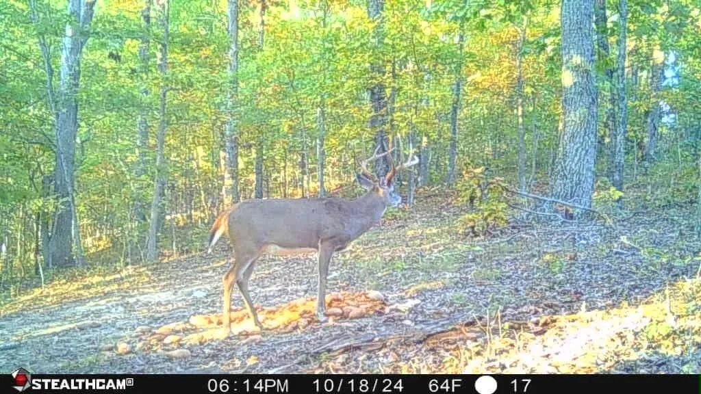700 Clay Camp Road Hitchins KY 41146