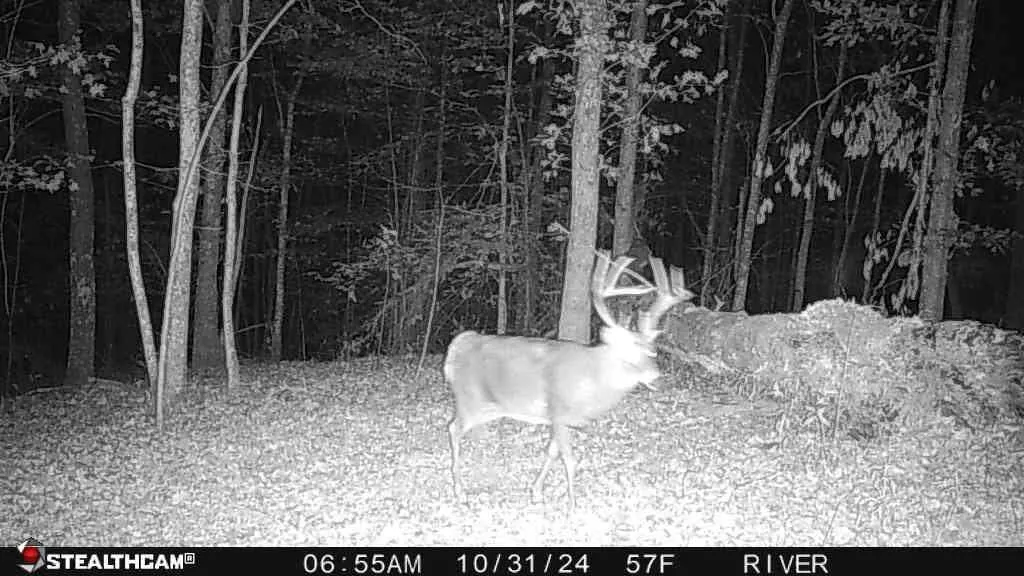 700 Clay Camp Road Hitchins KY 41146