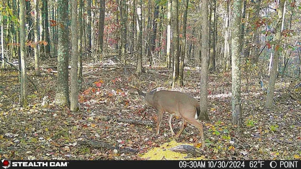700 Clay Camp Road Hitchins KY 41146