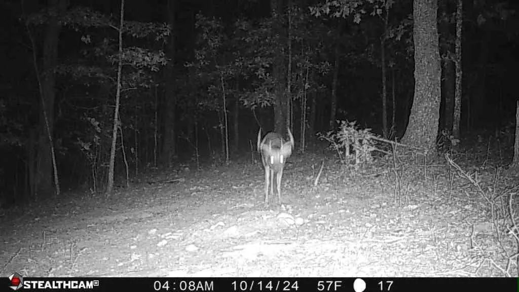 700 Clay Camp Road Hitchins KY 41146