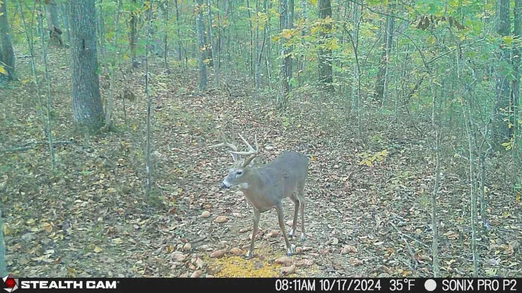 700 Clay Camp Road Hitchins KY 41146