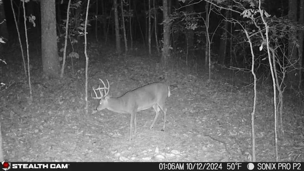 700 Clay Camp Road Hitchins KY 41146