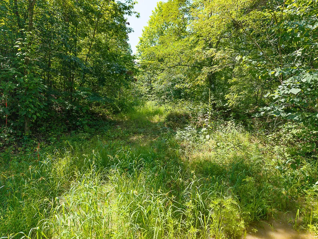 700 Clay Camp Road Hitchins KY 41146