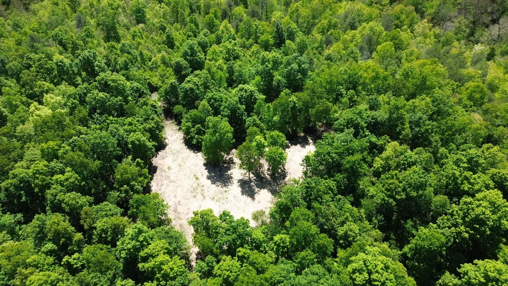 700 Clay Camp Road Hitchins KY 41146