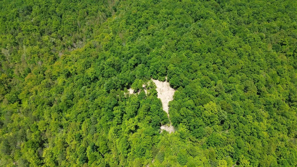700 Clay Camp Road Hitchins KY 41146