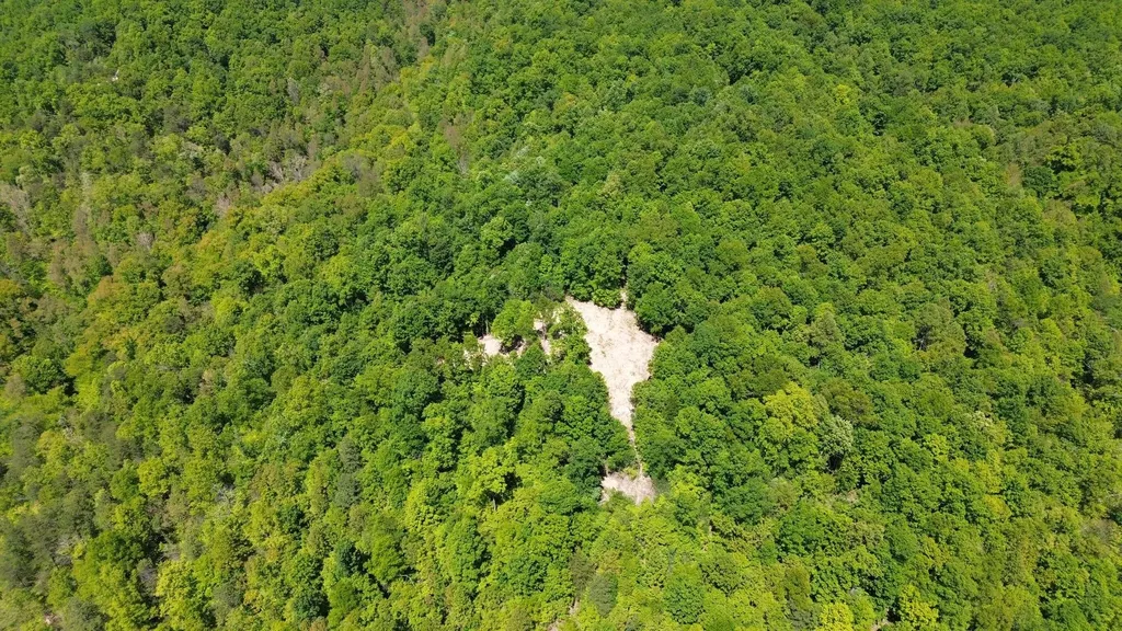 700 Clay Camp Road Hitchins KY 41146
