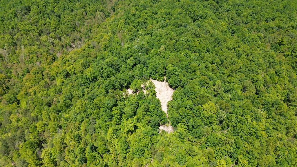 700 Clay Camp Road Hitchins KY 41146