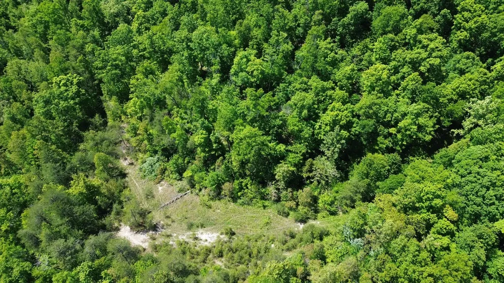700 Clay Camp Road Hitchins KY 41146