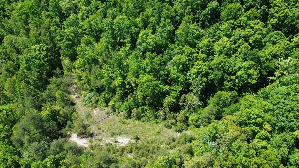 700 Clay Camp Road Hitchins KY 41146