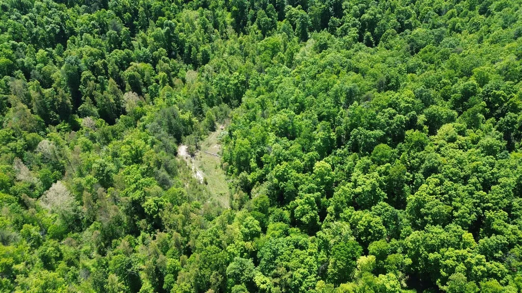 700 Clay Camp Road Hitchins KY 41146