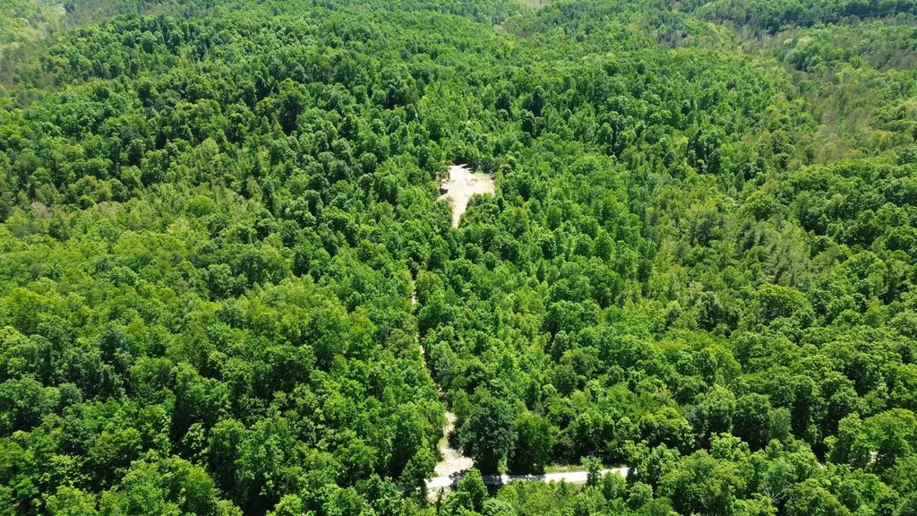 700 Clay Camp Road Hitchins KY 41146