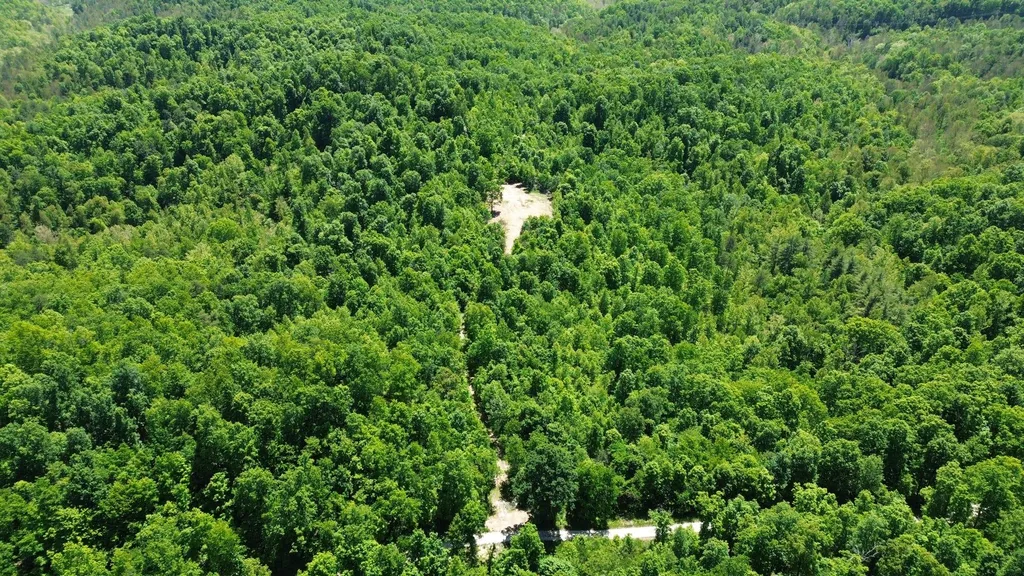 700 Clay Camp Road Hitchins KY 41146