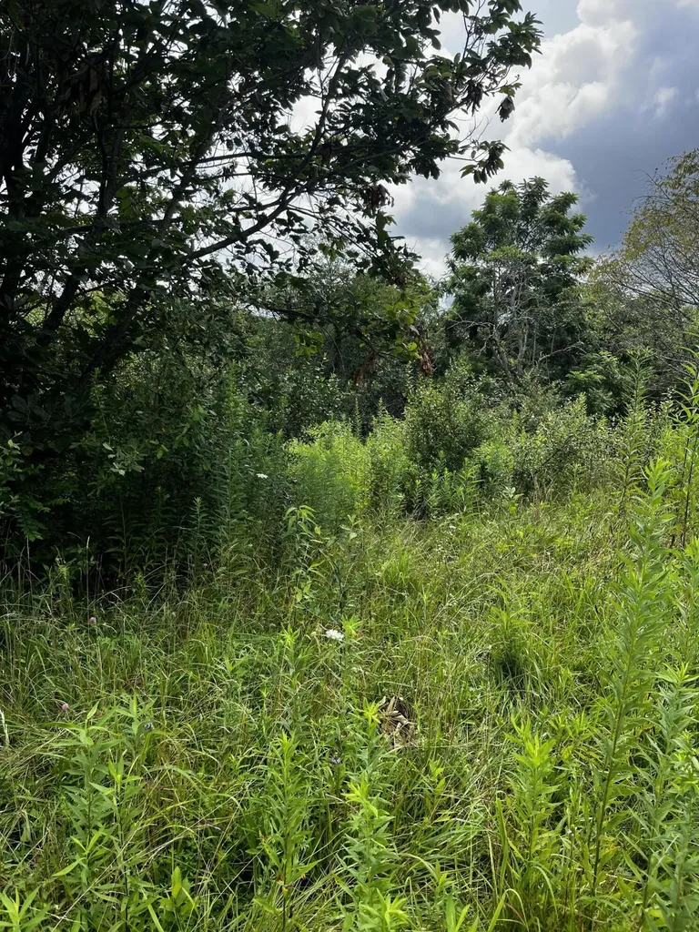 1998 Minor Road West Liberty KY 41472