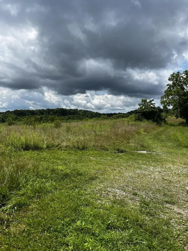 1998 Minor Road West Liberty KY 41472