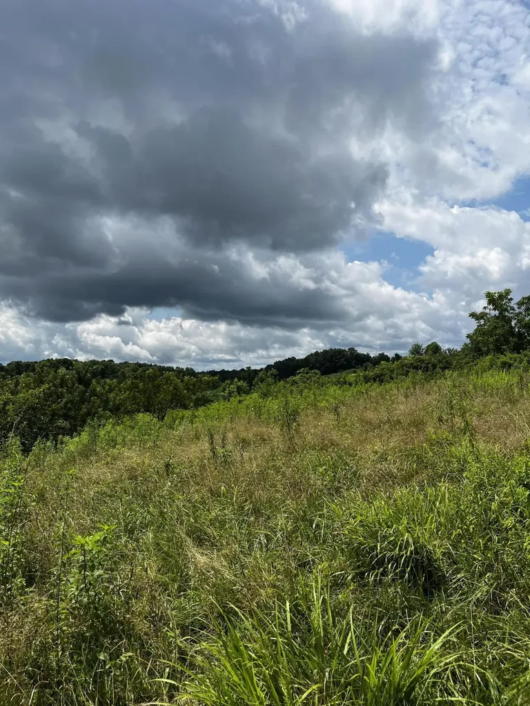 1998 Minor Road West Liberty KY 41472