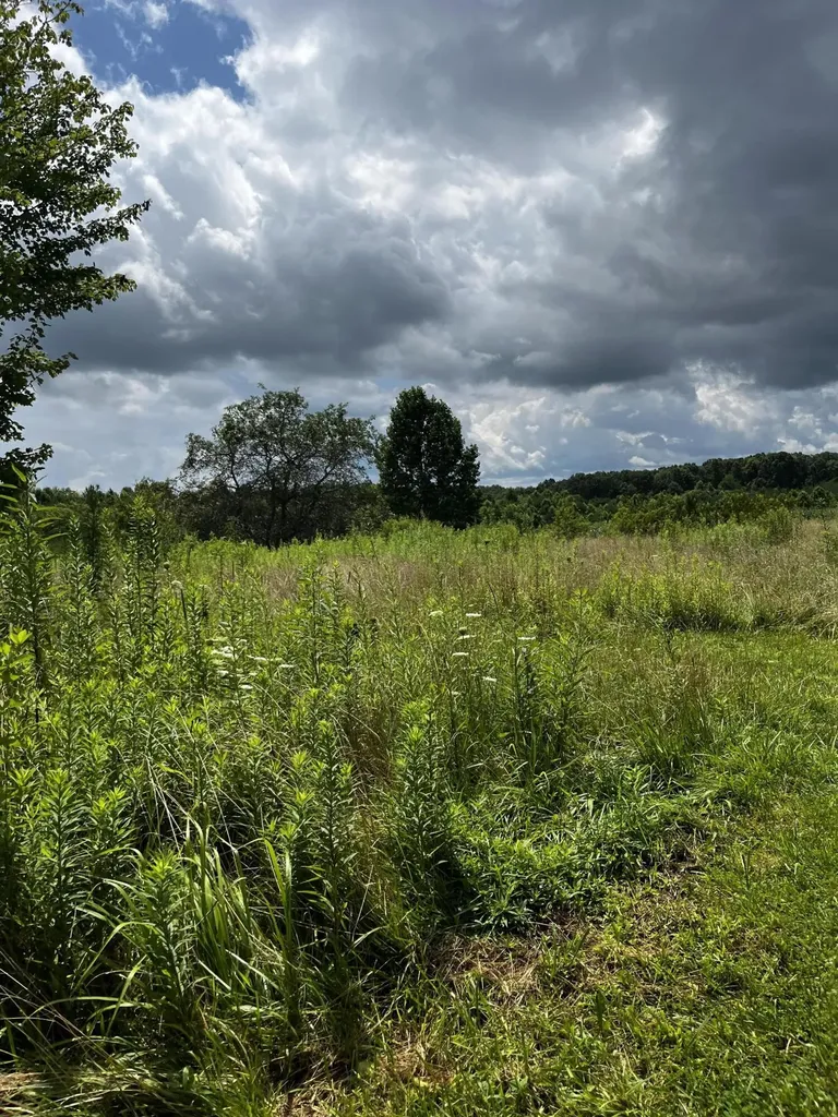 1998 Minor Road West Liberty KY 41472
