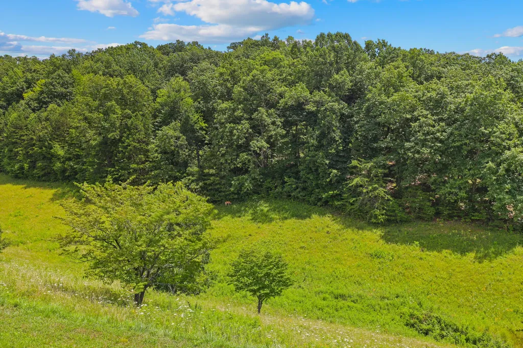 13102 Us Highway 421 South Tyner KY 40486