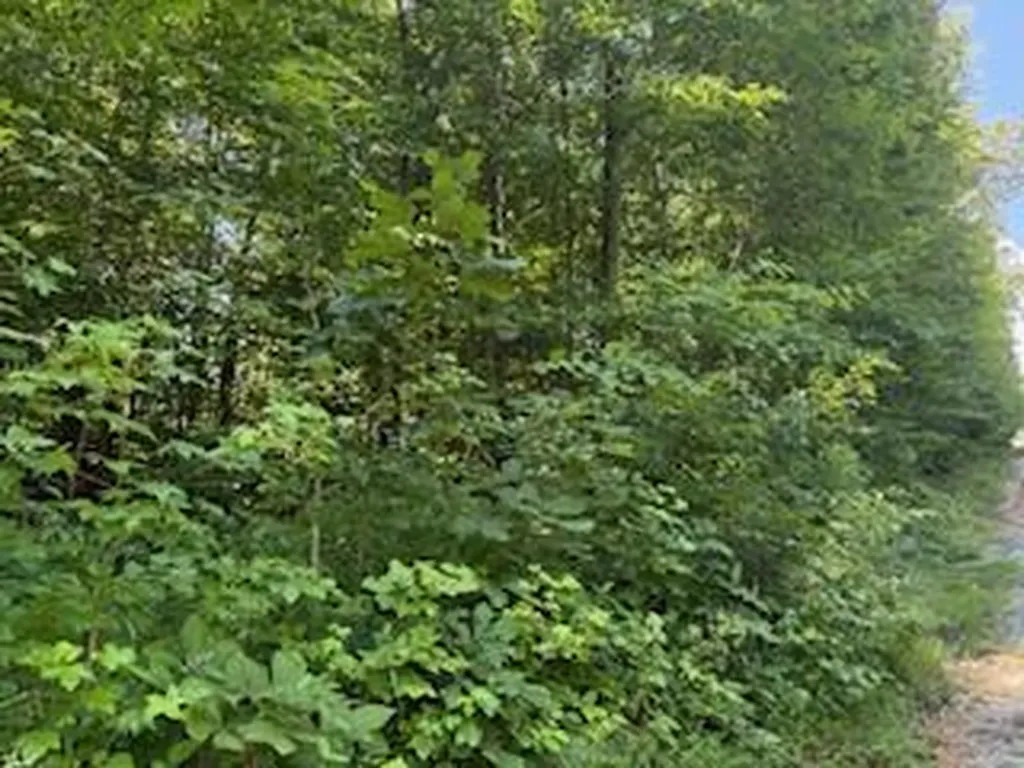 Lot 56-60 Cedar Drive Nancy KY 42544