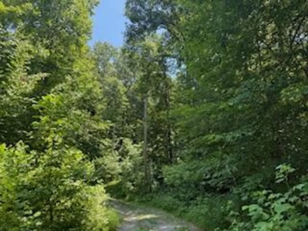 Lot 56-60 Cedar Drive Nancy KY 42544