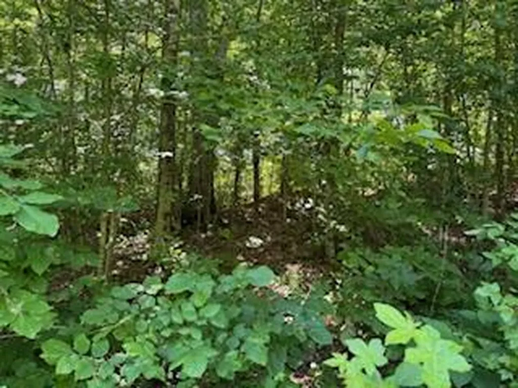Lot 56-60 Cedar Drive Nancy KY 42544