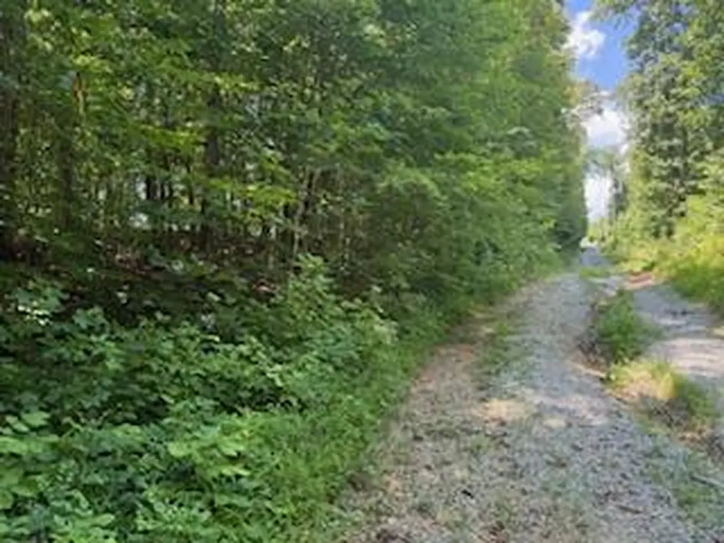 Lot 56-60 Cedar Drive Nancy KY 42544